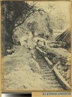 藏品(臺中州新高郡番地巒大山檜運材滑道之景)的圖片